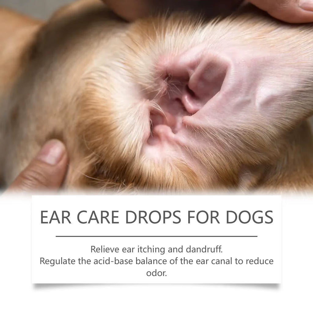 Dog Ear Care Drops Relieve Itching Dandruff Reduce Odor Anti-Fungals Earwax Remover No Irritating Pet Ear Cleaner Liquid 60Ml