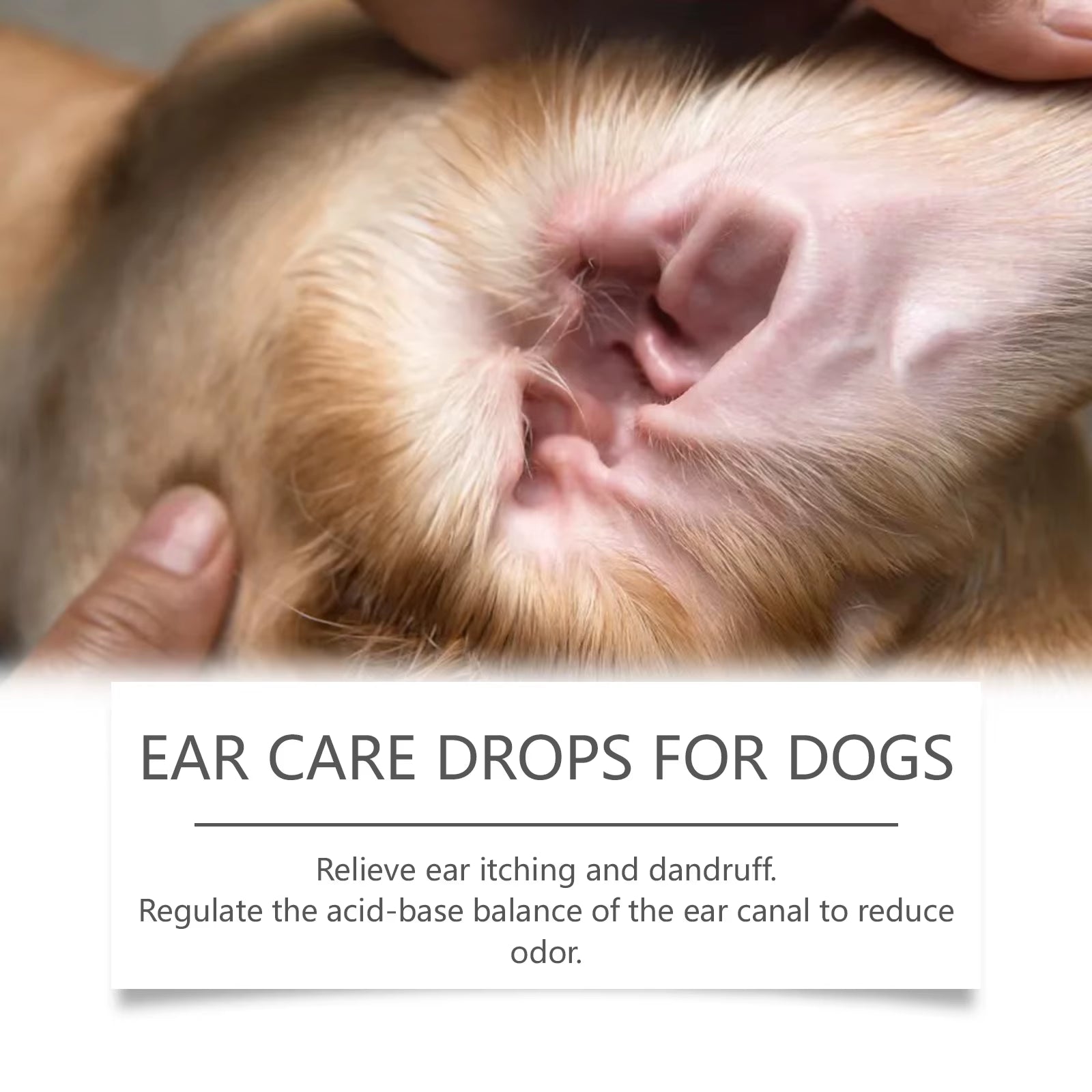 Dog Ear Care Drops Relieve Itching Dandruff Reduce Odor Anti-Fungals Earwax Remover No Irritating Pet Ear Cleaner Liquid 60Ml