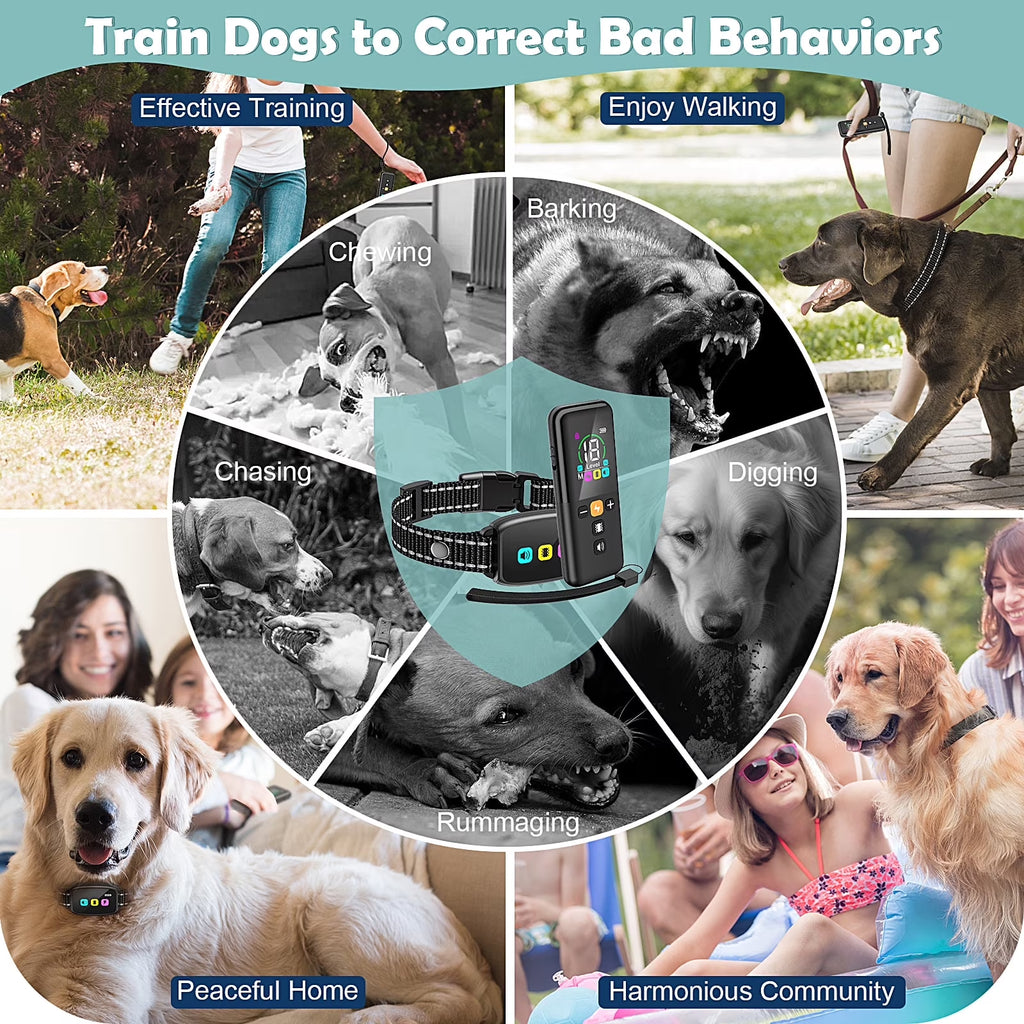 Dog Training Collar with Remote 2 Collars-Beep Collar for Dogs with 8 Sound Options Shock Vibration 2600Ft Remote Control Safe Keyboad Lock