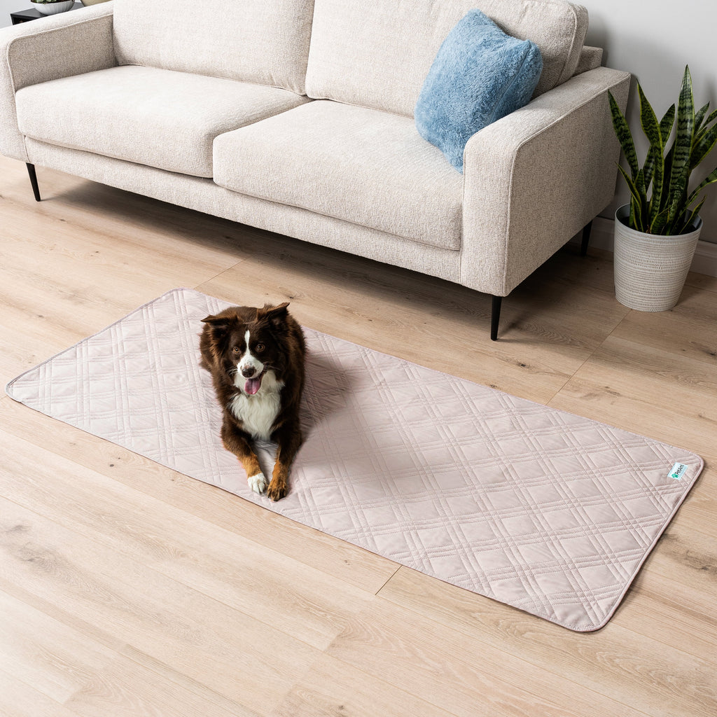 Waterproof Couch Cover for Dogs, Waterproof Pet Blanket, Reversible Furniture Cover Sofa Protector for Pet Cat Bed, Washable Waterproof Blanket Dog Cover for Couch Seat, 30X70 Beige