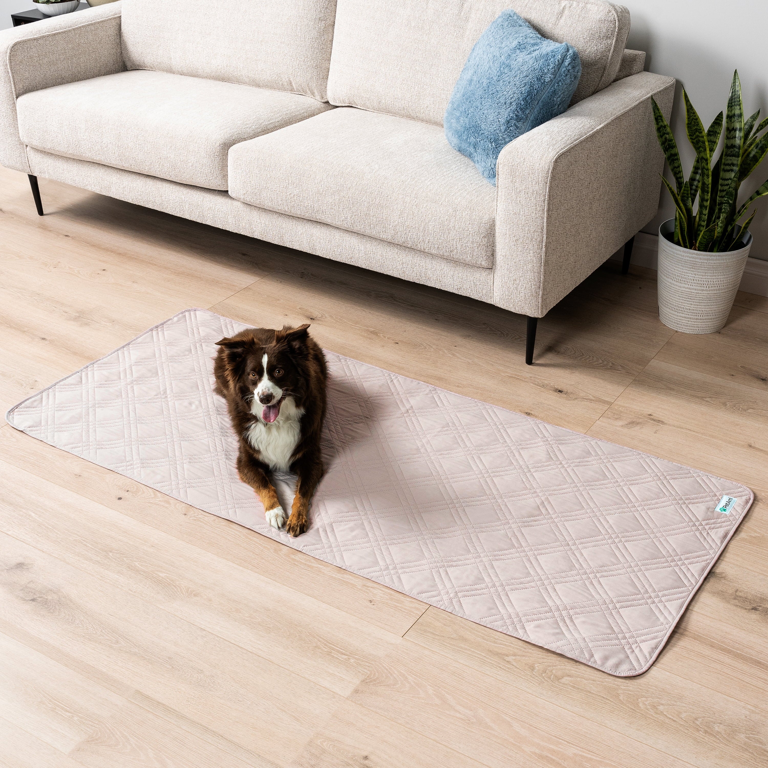Waterproof Couch Cover for Dogs, Waterproof Pet Blanket, Reversible Furniture Cover Sofa Protector for Pet Cat Bed, Washable Waterproof Blanket Dog Cover for Couch Seat, 30X70 Beige