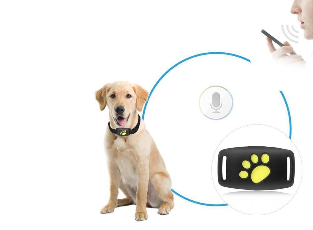 Luxora Pet GPS Tracker Collar - Real-Time Location Updates, Lightweight Design