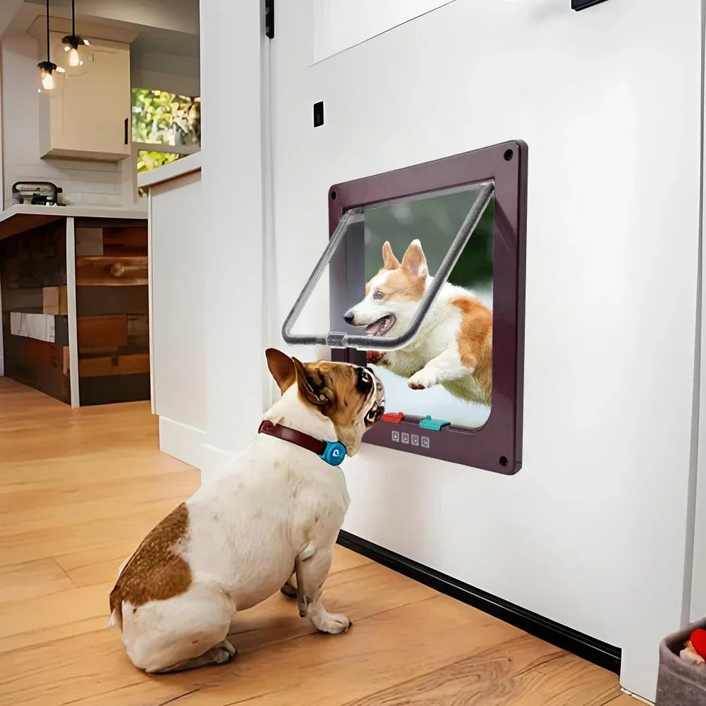 Cat Flap Door with 4 Way Security Lock ABS Plastic Gate Puppy Kitten Safety In/Out Dog Cat Flap Door Kit Small Pet Supplies