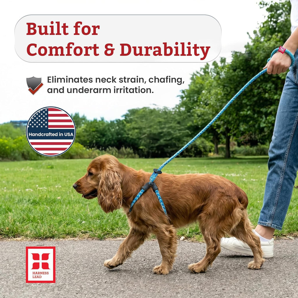 No Pull Dog Harness and Leash Set, anti Pull Dog Harness for All Breeds and Sizes, One-Piece Cushioned Rope Design Safely Prevents Escaping and Pulling (Small/Medium, Orange/Reflective)